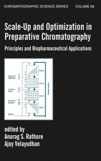 bokomslag Scale-Up and Optimization in Preparative Chromatography