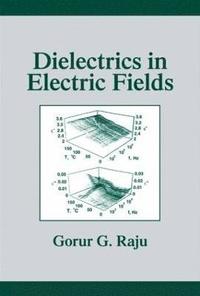bokomslag Dielectrics in Electric Fields
