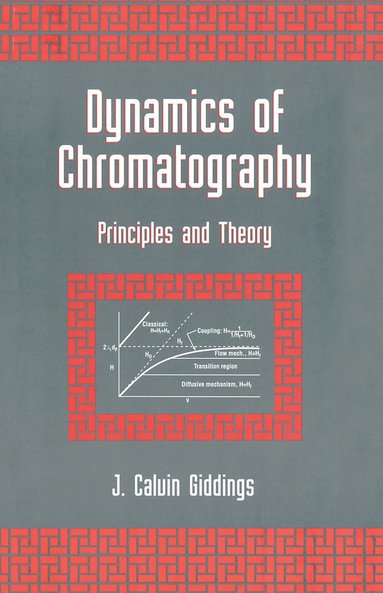 bokomslag Dynamics of Chromatography