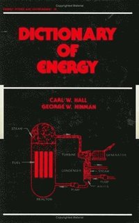 bokomslag Dictionary of Energy