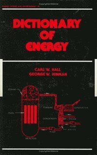 bokomslag Dictionary of Energy