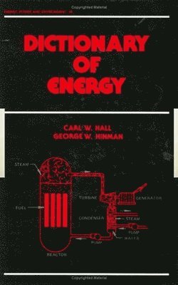 bokomslag Dictionary of Energy