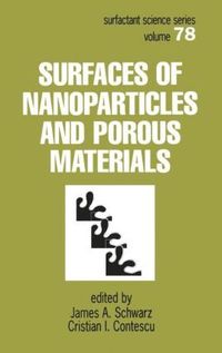 bokomslag Surfaces of Nanoparticles and Porous Materials