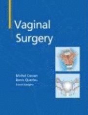 bokomslag Vaginal Surgery