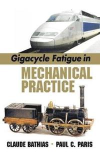 bokomslag Gigacycle Fatigue in Mechanical Practice