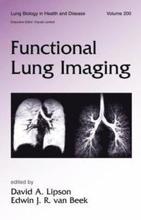 bokomslag Functional Lung Imaging