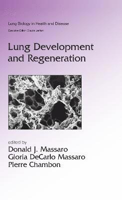 bokomslag Lung Development and Regeneration