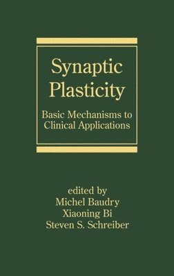 Synaptic Plasticity 1