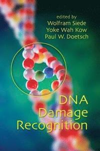 bokomslag DNA Damage Recognition