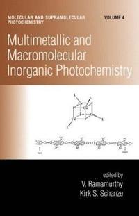 bokomslag Multimetallic and Macromolecular Inorganic Photochemistry