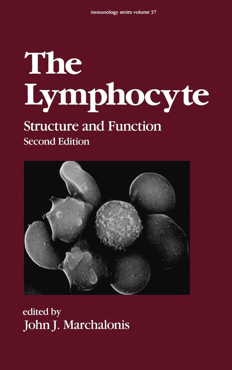 The Lymphocyte 1