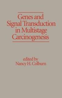 bokomslag Genes and Signal Transduction in Multistage Carcinogenesis