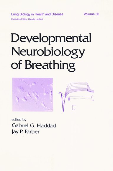 Gabriel Haddad - Developmental Neurobiology of Breathing, Inbunden