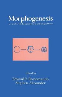 bokomslag Morphogenesis