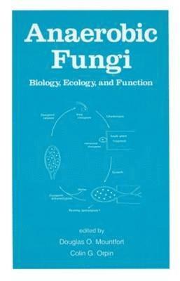 bokomslag Anaerobic Fungi