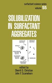 bokomslag Solubilization in Surfactant Aggregates