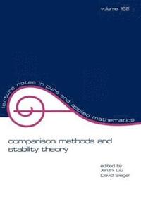 bokomslag Comparison Methods and Stability Theory