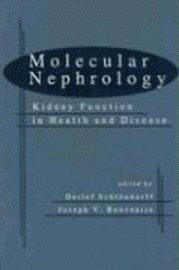 bokomslag Molecular Nephrology