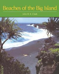 bokomslag Beaches of the Big Island