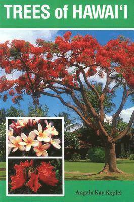 bokomslag Trees of Hawaii