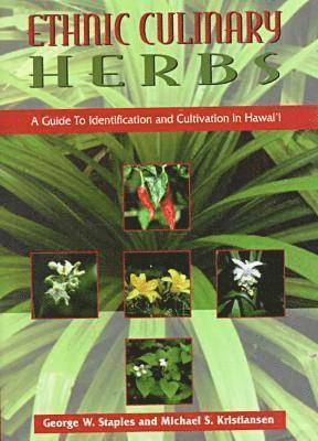 Ethnic Culinary Herbs 1