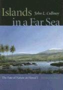 Islands in a Far Sea 1