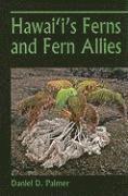 bokomslag Hawaii's Ferns and Fern Allies