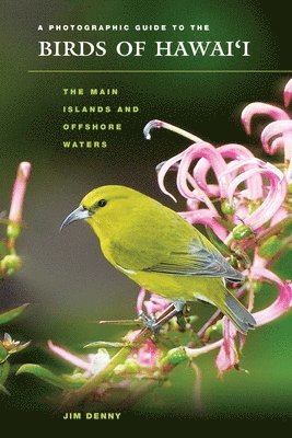 bokomslag Photographic Guide to the Birds of Hawai'i