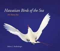 bokomslag Hawaiian Birds of the Sea