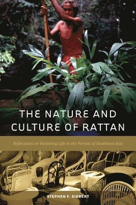 bokomslag Nature and Culture of Rattan