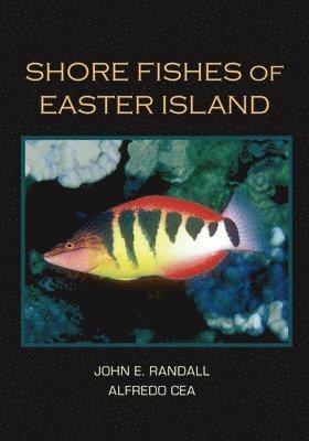 bokomslag Shore Fishes Of Easter Island
