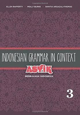 bokomslag Indonesian Grammar in Context: Asyik Berbahasa Indonesia