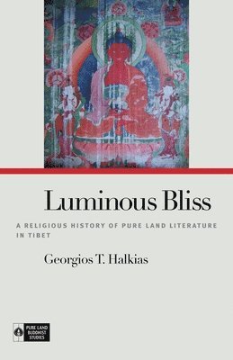 bokomslag Luminous Bliss