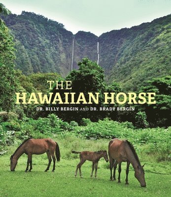 bokomslag Hawaiian Horse