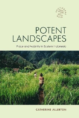 Catherine Allerton, David P. Chandler, David P Chandler, Rita Smith Kipp - Potent Landscapes, Häftad