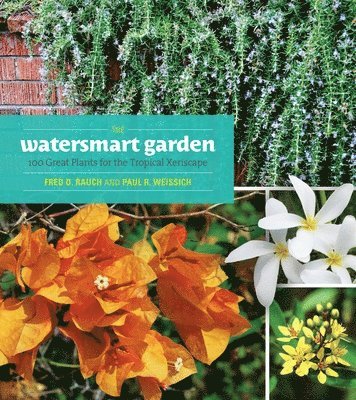 bokomslag Watersmart Garden