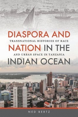 bokomslag Diaspora and Nation in the Indian Ocean