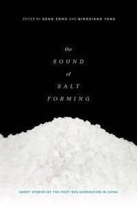 bokomslag The Sound of Salt Forming