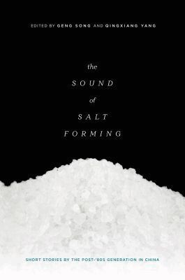 Geng Song, Qingxiang Yang - Sound of Salt Forming, Häftad