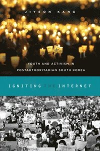 bokomslag Igniting the Internet