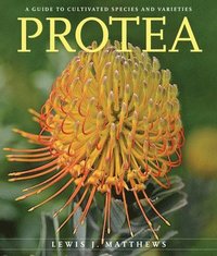 bokomslag Protea
