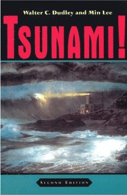 bokomslag Tsunami!