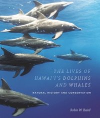 bokomslag Lives of Hawai'i's Dolphins and Whales