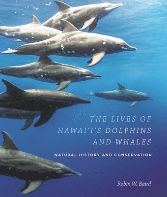 bokomslag Lives of Hawai'i's Dolphins and Whales