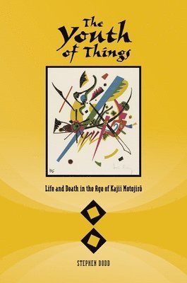 bokomslag Youth of Things