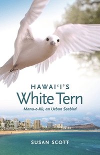 bokomslag Hawai'i's White Tern
