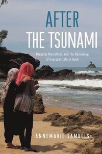 bokomslag After the Tsunami