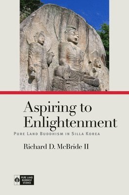 Richard D. McBride II, Richard D. McBride, Richard D McBride, Richard K. Payne, Richard K Payne - Aspiring to Enlightenment, Inbunden