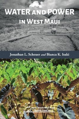bokomslag Water and Power in West Maui