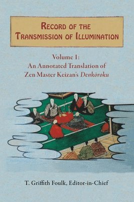 bokomslag Record of the Transmission of Illumination